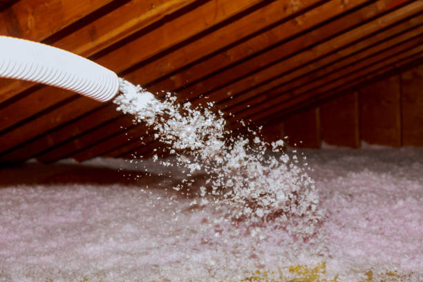 Best Blown-in Insulation  in Dewart, PA