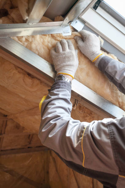 Best Insulation for New Construction  in Dewart, PA
