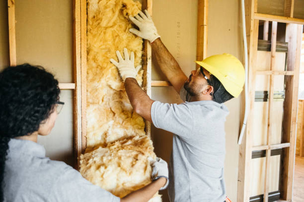 Best Insulation Repair Services  in Dewart, PA